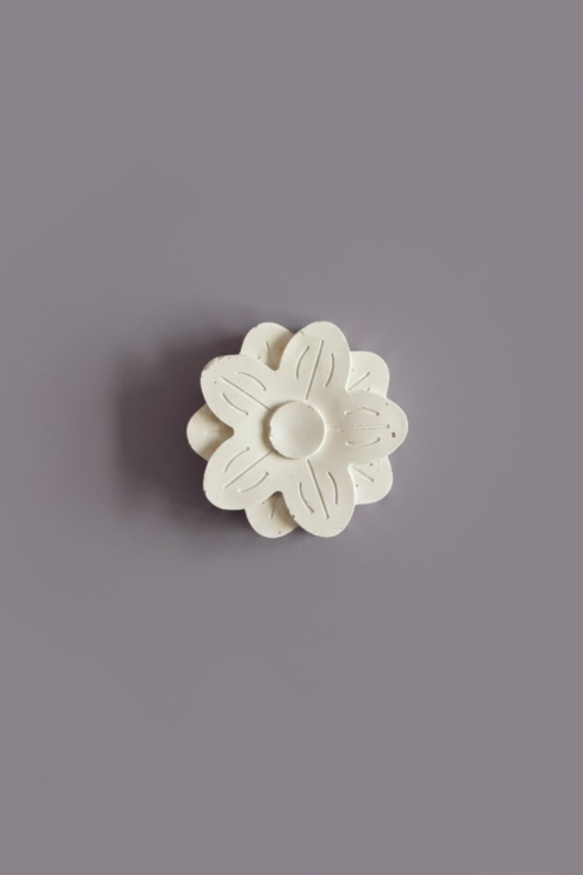 Daisy Flower