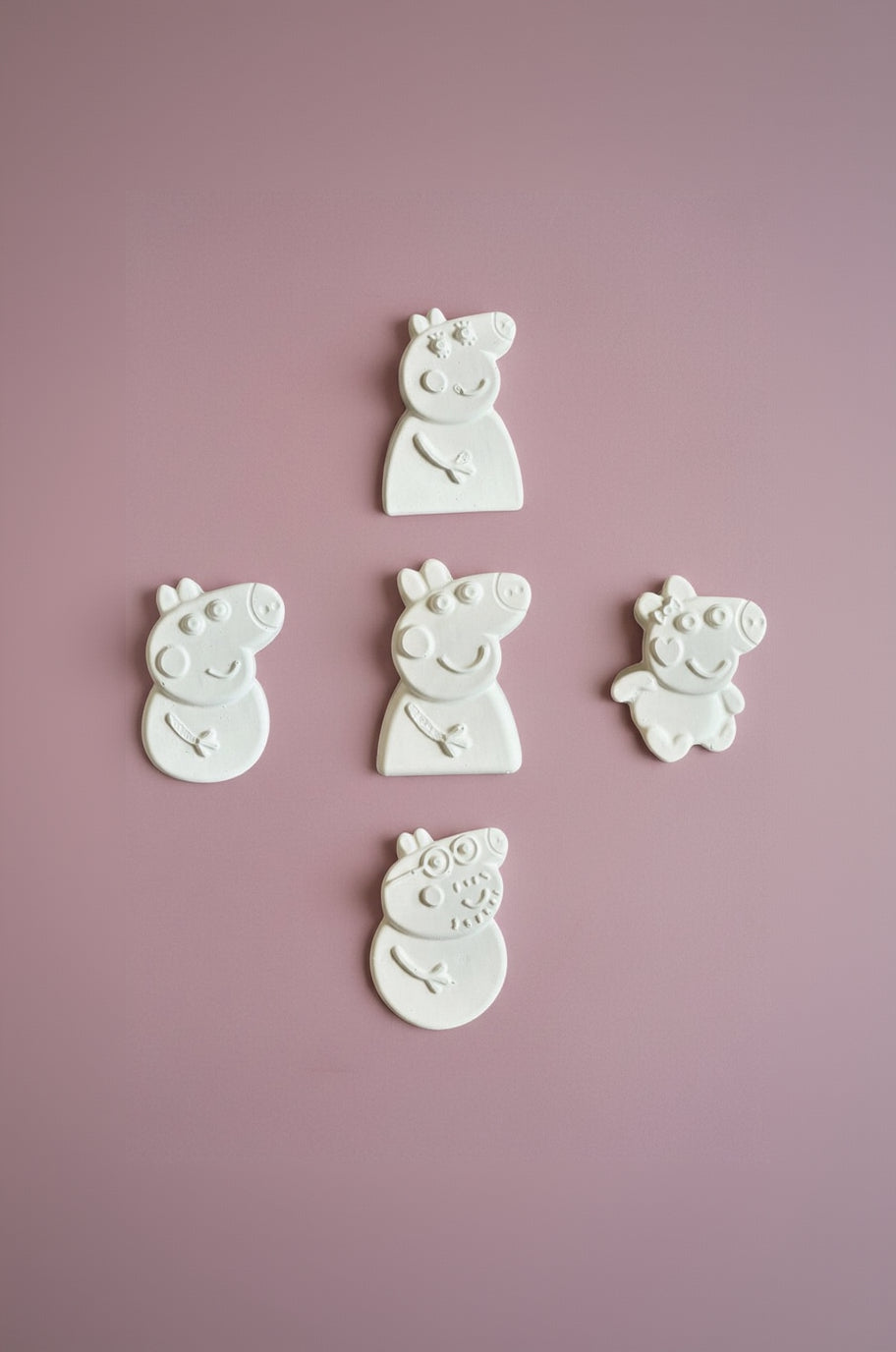 Pig Family