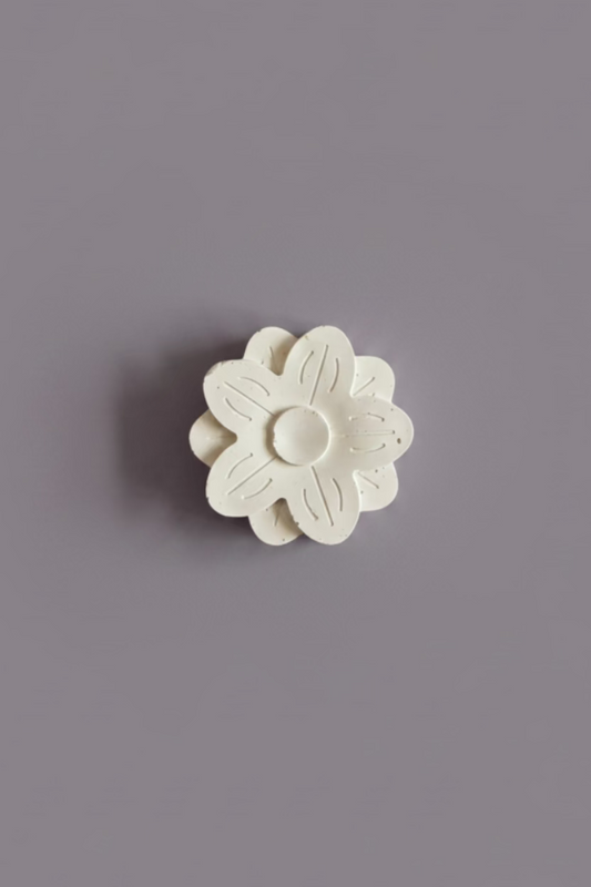 Daisy Flower
