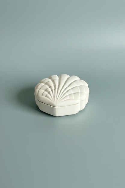 Seashell