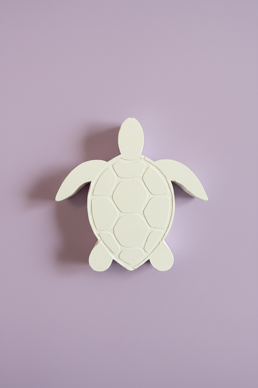 Turtle 1