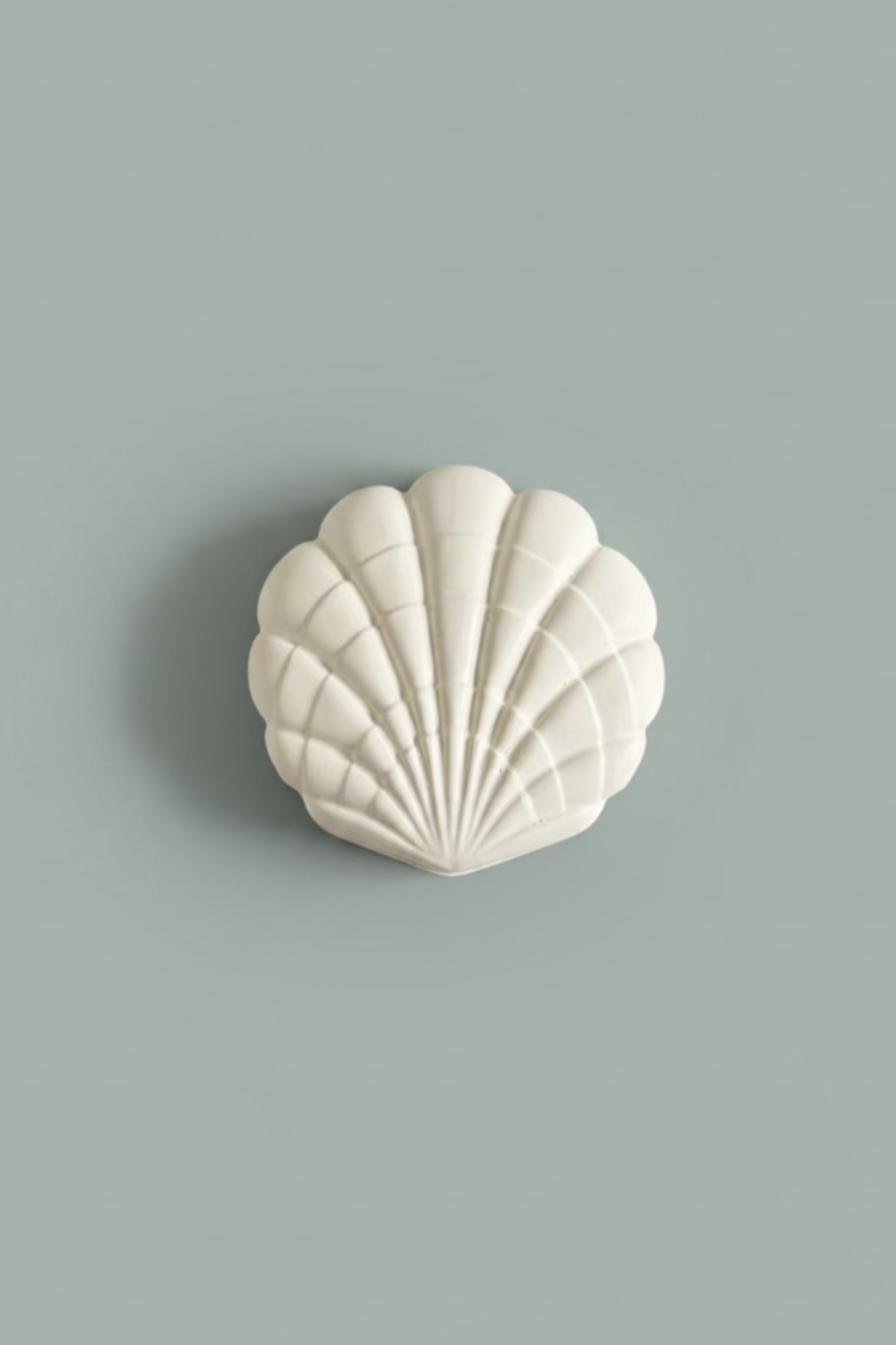 Seashell
