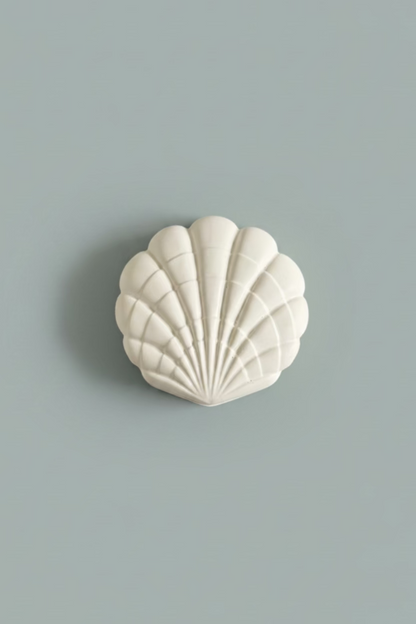 Seashell