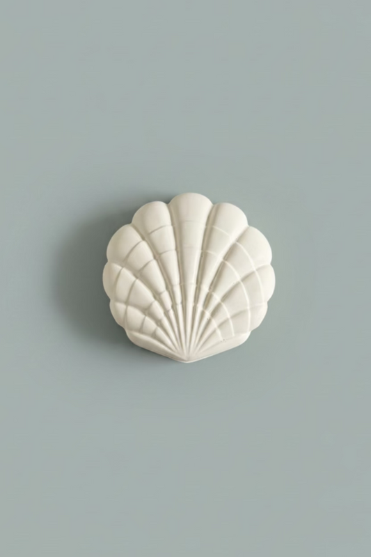 Seashell