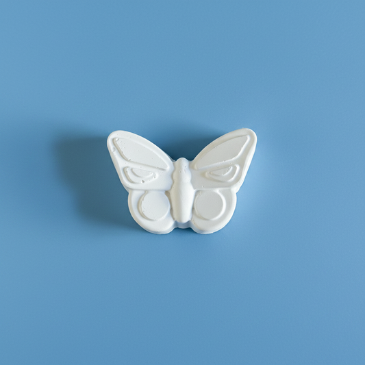 Butterfly 1